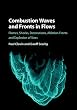 Combustion Waves and Fronts in Flows: Flames, Shocks, Detonations, Ablation Fronts and Explosion of Stars