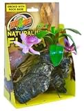 Zoo Med Orchid w/Rock