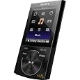 Sony Walkman NWZE345BLK 16 GB Video MP3 Player (Black)