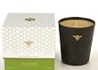 Paddywax Journey Of The Bee 14-Ounce Glass Candle, Clover