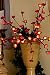 Burgundy Plum Blossom Lights