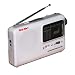Portable Emergency Alert Radio