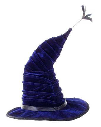 Harry Potter Madame Hooch Hat