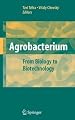Agrobacterium