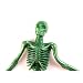 Large Stretchy Skeletons Assorted Colours (1 Supplied)_s-3