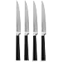 Ginsu 07104 4-Piece Steak Set, Stainless Steel Blades