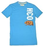 Hollister by Abercrombie HCO Bear Logo T-Shirt