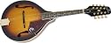 Epiphone MM-30 Mandolin, Solid Spruce Top, Gold Hardware