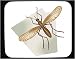 Decorated Mouse Pad with insect, gnat, mosquito, house