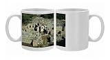 General view of Roman settlement of baths and amphitheatre, Butrint, UNESCO Photo Mugs