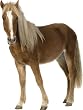 Stickad�co - Sticker mural  Cheval -  80 x 110 cm r�f 29