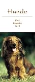 Hunde 2013 Foto-Postkartenkalender