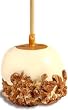 Gourmet Caramel Apples - Chocolate Dunked and Candy Coated Gifts
