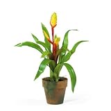 Nearly Natural 4501-RG Red/Gold Potted Sword Bromeliad Silk Flower Arrangement