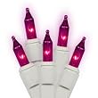 Set of 50 Pinkish Purple Everglow Mini Christmas Lights - White Wire