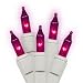 Set of 50 Pinkish Purple Everglow Mini Christmas Lights - White Wire