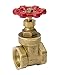 Proline 100-406NL IPS Low Lead Gate Valve, 1.25"