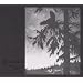 Where at Night the Wood Grouse Plays