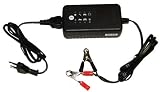 Ladegerät für Bleiakku,12V 2-90Ah Gel-Batterien/Säure