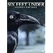Six Feet Under - Gestorben wird immer, Die komplette Staffel 4 (5 DVDs)