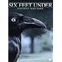 Six Feet Under - Gestorben wird immer, Die komplette Staffel 4 (5 DVDs)
