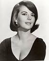 Natalie Wood Photo Nice Cleavage Pinup Art Hollywood Pinups Sexy Photos 8x10