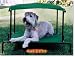 Puppywalk Breezy Bed - Green (Medium)