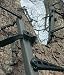 CLIMBING STICK 1PC