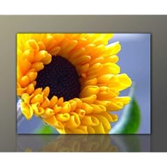 Wandbild auf echte Leinwand g�nstig & modern (Summer-Flower-60x80cm) High Definition Bilder fertig gerahmt mit Keilrahmen riesig. Ausf�hrung Kunstdruck auf echter Leinwand als Wandbild mit hoher Qualit�t. Preiswerter als �lbild Gem�lde Poster Plakat mit Bilderrahmen. Bild Style Deko Natur Blumen Sonnenblume. Made in Germany