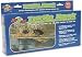Pet Supplies : Zoo Med Mini Turtle Dock, 8.5"x4"