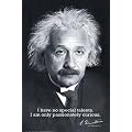 Albert Einstein Poster I Have no Special Talents.. - Poster Gro�format