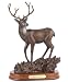 Big Sky Carvers® 