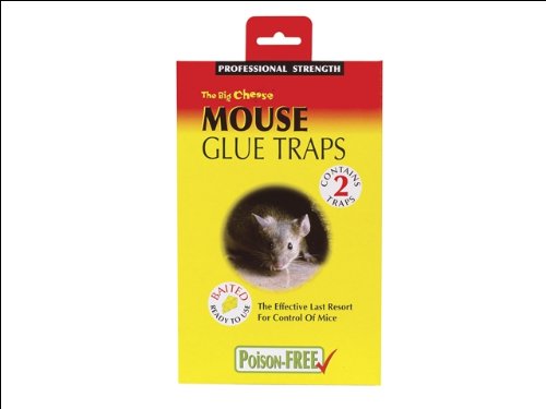 The Big Cheese - Mouse Glue Trap x 2