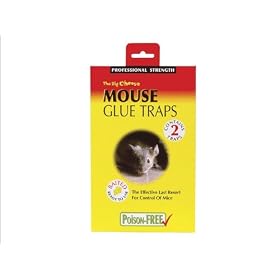 The Big Cheese - Mouse Glue Trap x 2