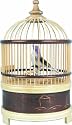 Singing Bird Cage