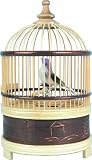 Singing Bird Cage