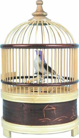 Singing Bird Cage