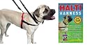 Halti Harness Large
