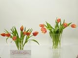Produkt-Bild: Velou Fotovase 2er Set