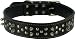 41MoWzgmzVL. SL75  A look at Personalized Dog Collar