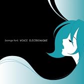 Voice Electronique