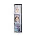 Safco 4112BL Clear Plastic Literature Display Wall Rack for 3 Magazines, 12w x36h