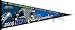 2005 NFC Championship Pennant - Seattle Seahawks vs. Carolina Panthers