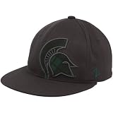 NCAA Zephyr Michigan State Spartans Gray Racer Fitted Hat (7 1/4)
