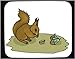 Mouse Pad with acorn, eating, squirrel, animal, rodent, foraging