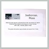 Bonsai Top Dressing - Moss Spores From Japan - By joebonsai