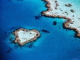 Heart-Shaped Reef, Hardy Reef, Near Whitsunday Islands, Great Barrier Reef, Queensland, Australia Scenic Photographic Poster Print by Holger Leue, 24x18