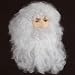 Santa Claus Wig & Beard