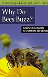 Why Do Bees Buzz?: Fascinating Answers to Questions about Bees (Animal Q&a Series)