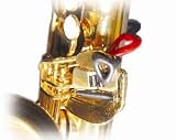 Stickystop for Tenor Saxophone ( G# and C# Keyclamp ) - B000V2MHM6
